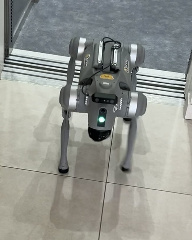 Quadruped robot walking out of a lift